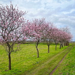 23-03-13 10-56-29 4832